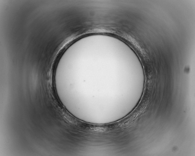 X0000103441173200810031406