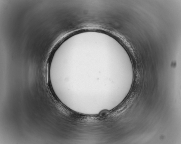 X0000103441175200810031406