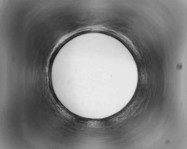 X0000103441176200810031406