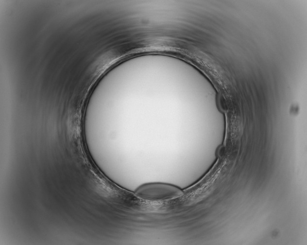 X0000103441177200810031406