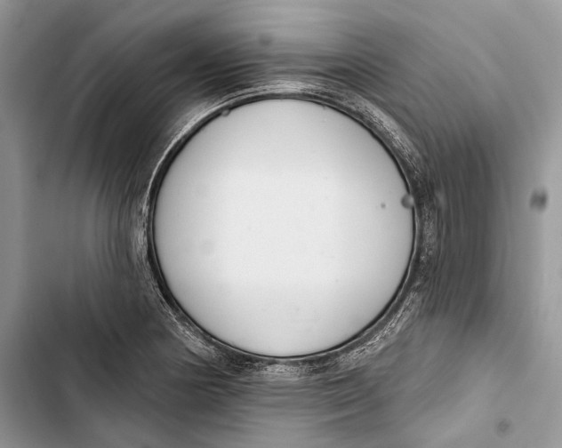 X0000103441178200810031406