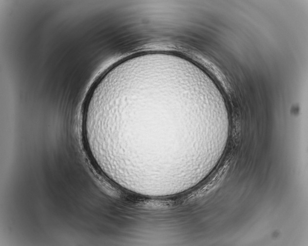 X0000103441179200810031406