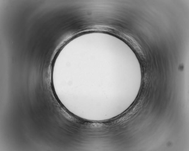 X0000103441180200810031406