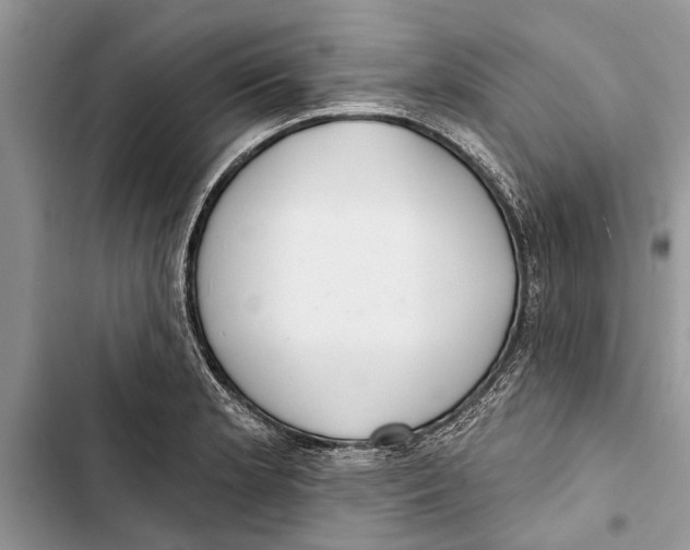 X0000103441181200810031406