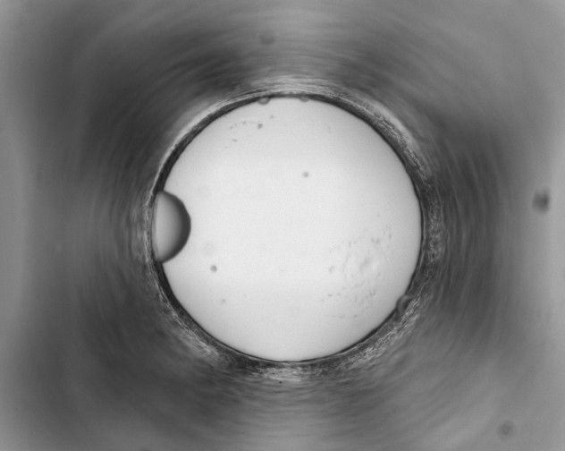 X0000103441182200810031406