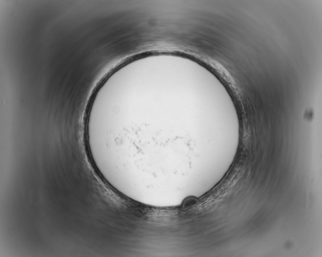 X0000103441183200810031406