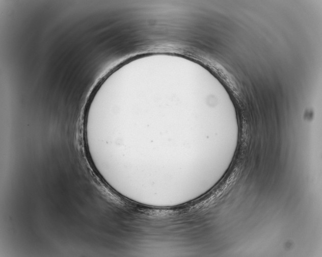 X0000103441184200810031406