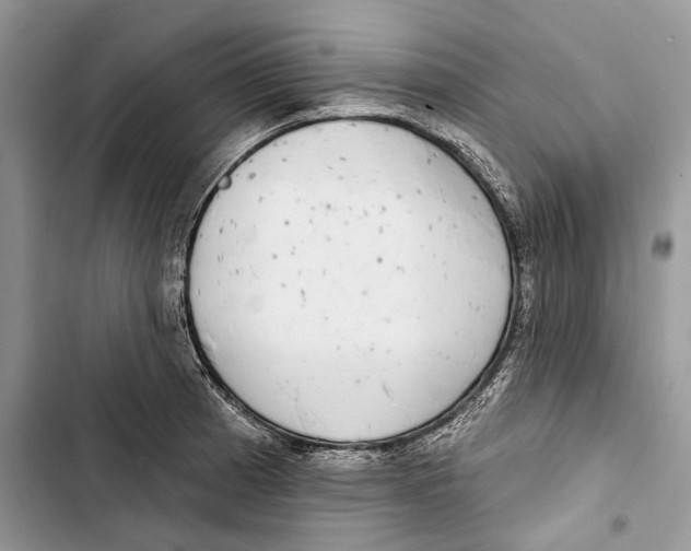 X0000103441185200810031406