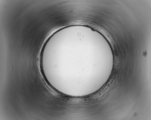 X0000103441187200810031406