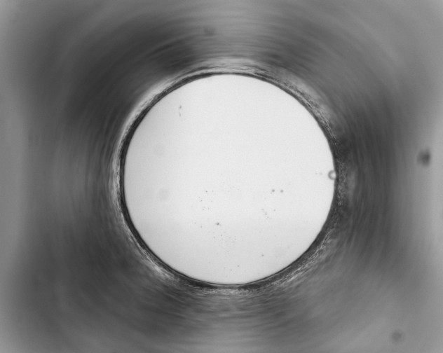 X0000103441188200810031406