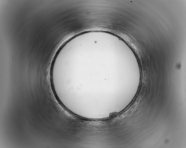 X0000103441189200810031406