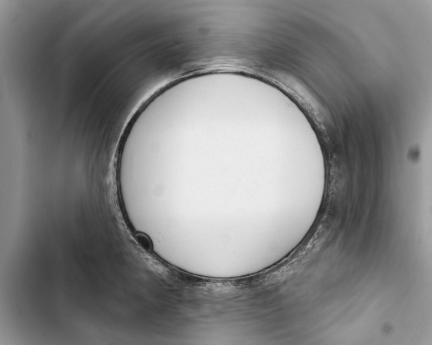 X0000103441190200810031406