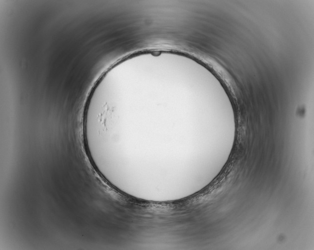 X0000103441191200810031406