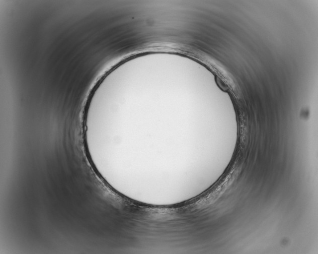 X0000103441192200810031406