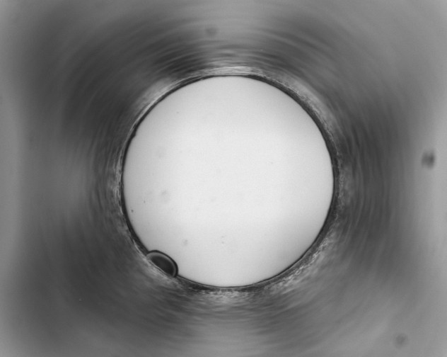 X0000103441193200810031406