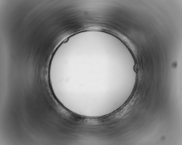 X0000103441194200810031406