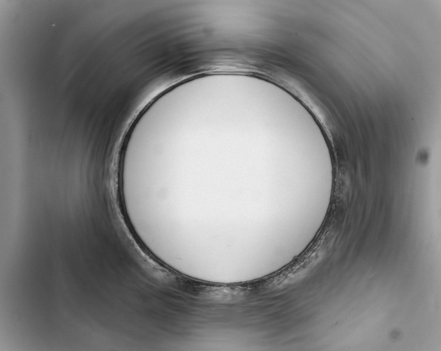 X0000103441195200810031406