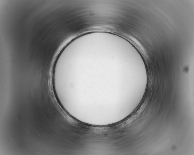 X0000103441196200810031406