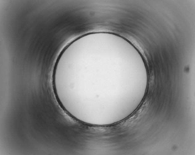 X0000103441197200810031406