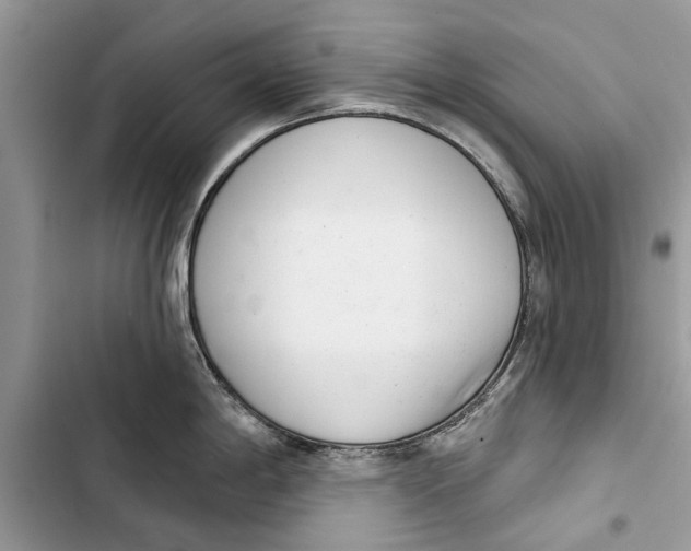 X0000103441198200810031406