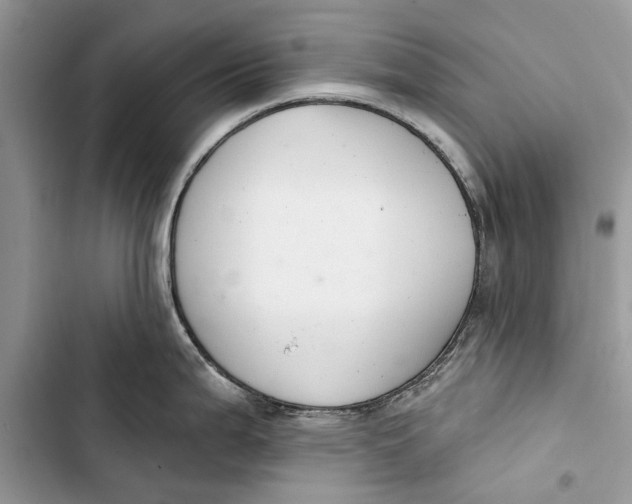 X0000103441199200810031406