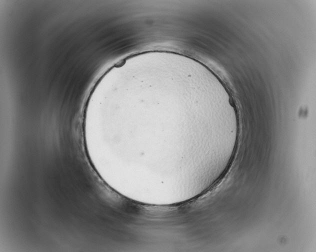 X0000103441200200810031406