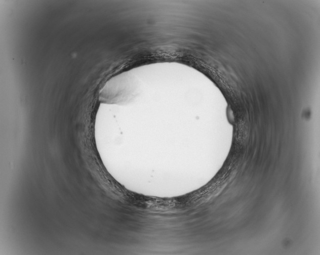 X0000103441201200810031405