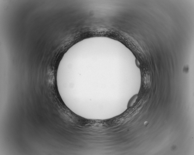 X0000103441204200810031405