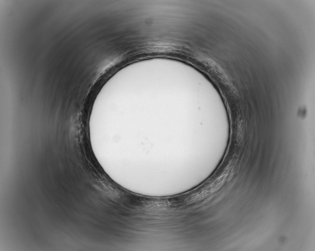 X0000103441210200810031405