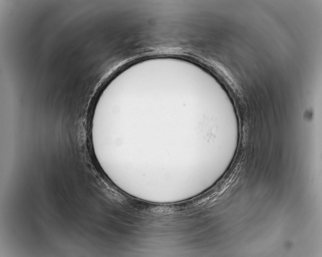 X0000103441212200810031405