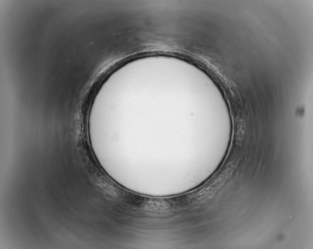 X0000103441215200810031406