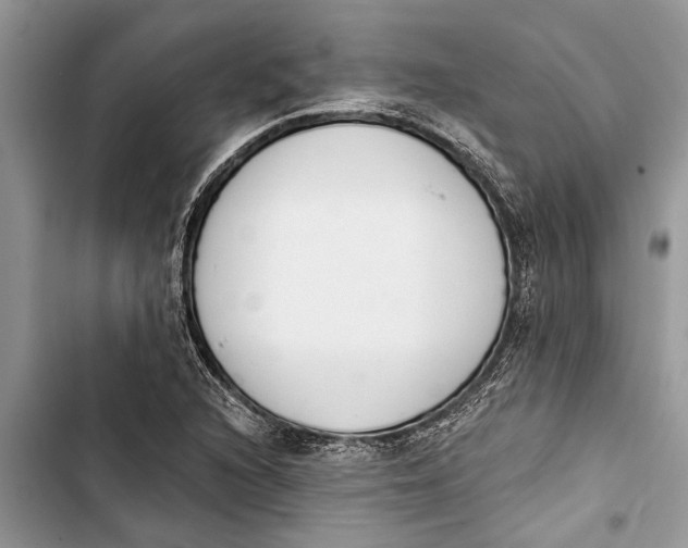 X0000103441216200810031406
