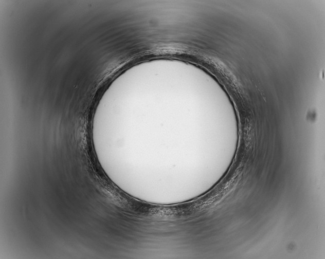 X0000103441217200810031406