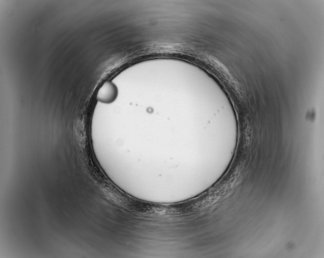 X0000103441218200810031406