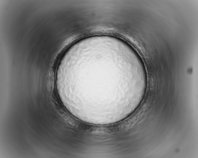 X0000103441219200810031406