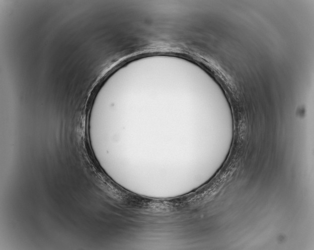 X0000103441220200810031406