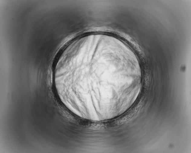 X0000103441221200810031406