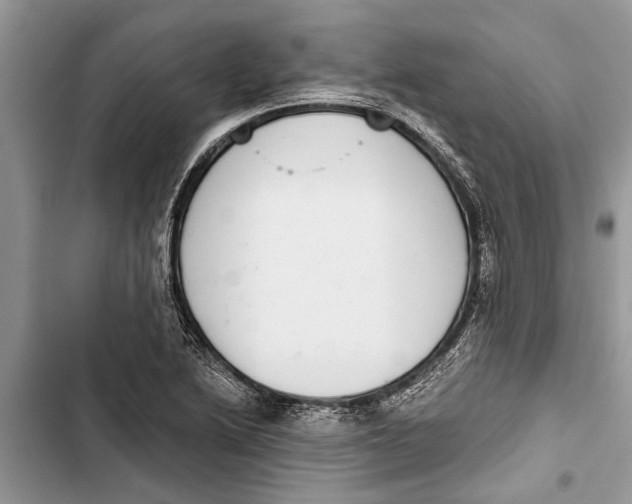 X0000103441222200810031406