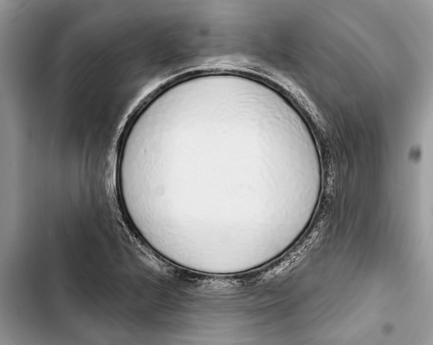X0000103441224200810031406