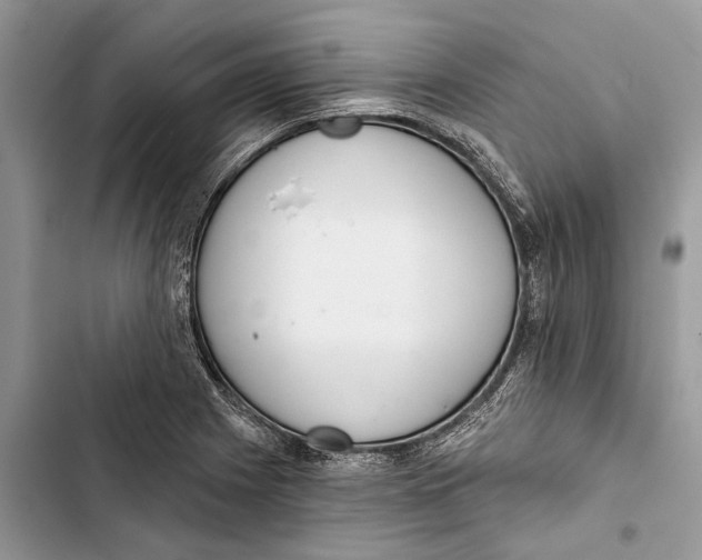 X0000103441225200810031406