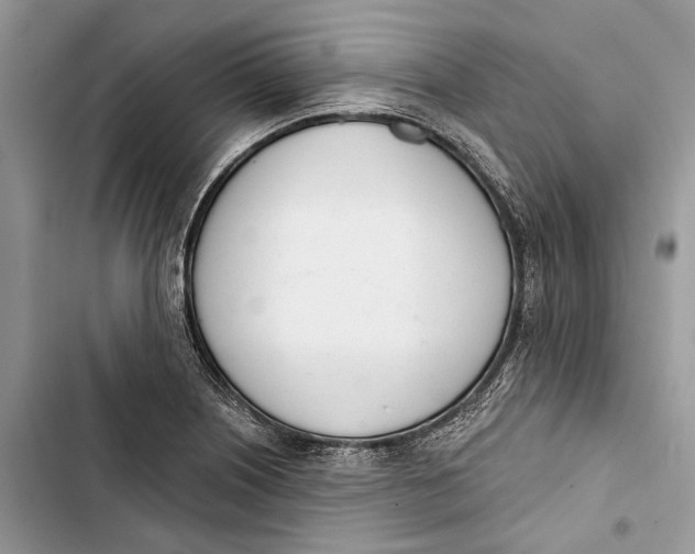X0000103441226200810031406