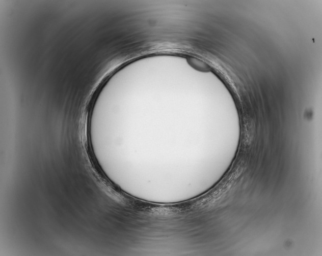 X0000103441227200810031406