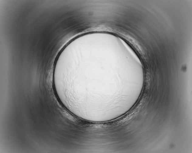 X0000103441228200810031406