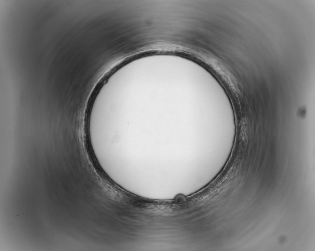 X0000103441229200810031406