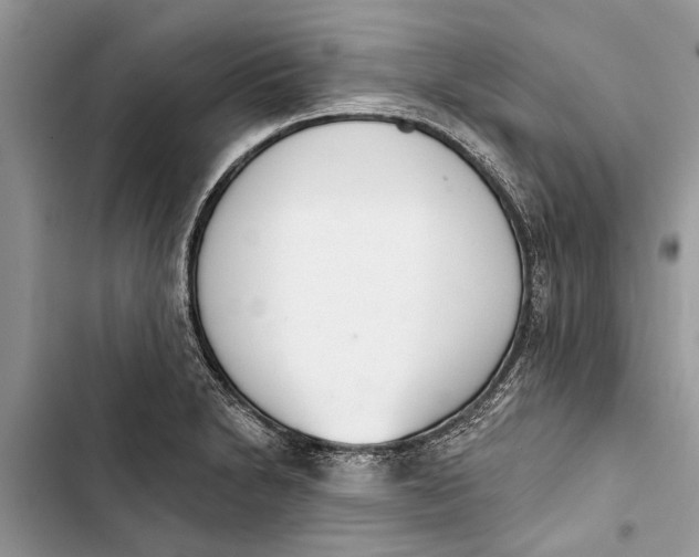 X0000103441230200810031406