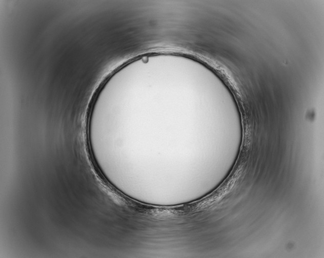 X0000103441231200810031406