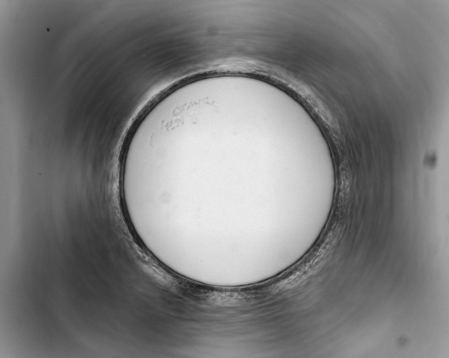 X0000103441232200810031406