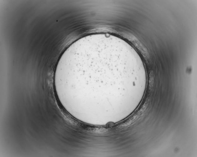 X0000103441233200810031406