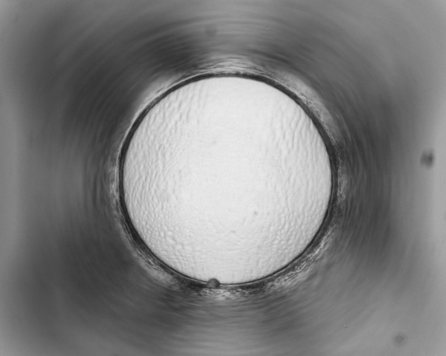X0000103441234200810031406