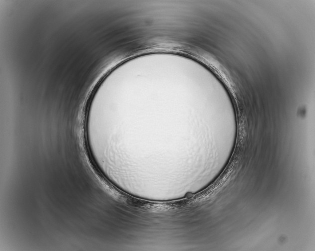 X0000103441235200810031406